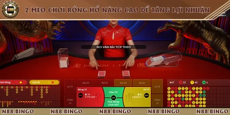 Áp dụng 2 cách đặt rồng hổ để có tỷ lệ thắng lớn